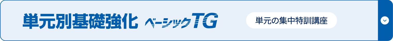 単元別基礎強化 ベーシックTG