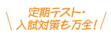 定期テスト・入試対策も万全！